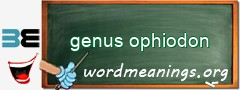 WordMeaning blackboard for genus ophiodon
